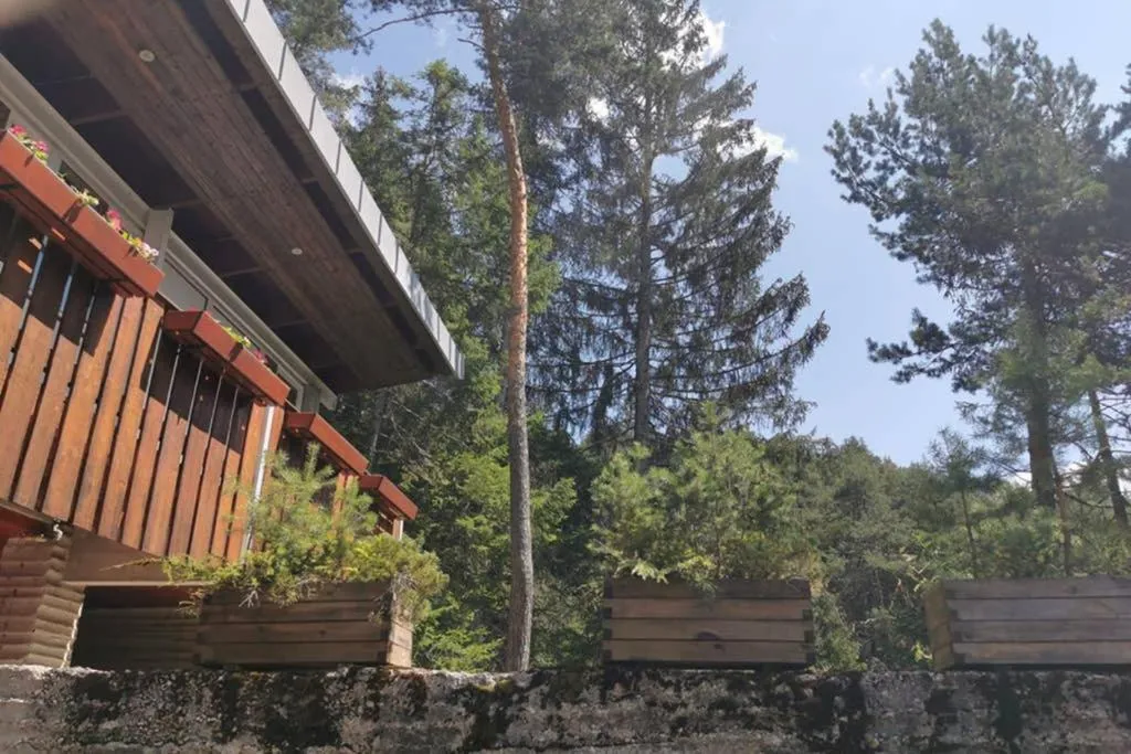 Bosco intorno a Chalet nel Bosco a Borca di Cadore