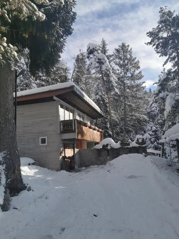 Esterno laterale innevato di Chalet nel Bosco a Borca di Cadore