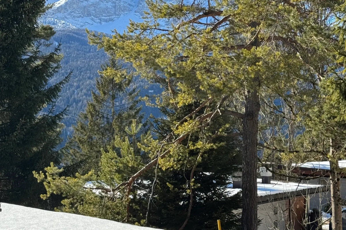 Vista dal terrazzo dopo nevicata a Chalet nel Bosco