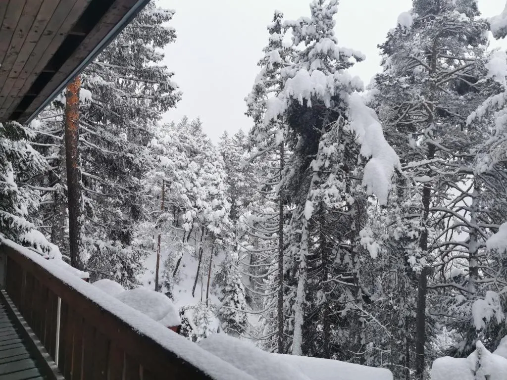 Vista sul bosco innevato dal terrazzo di Chalet nel Bosco