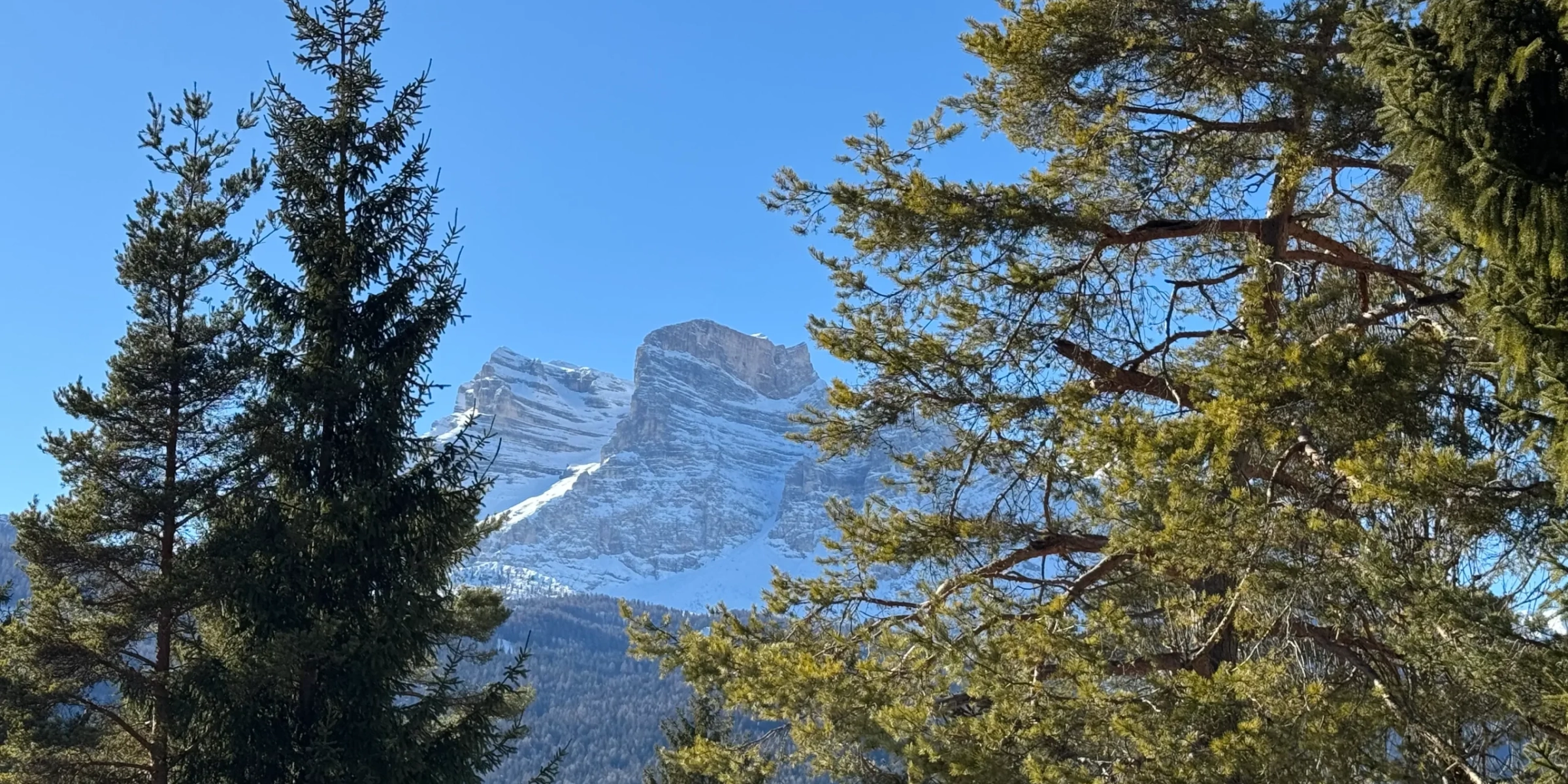 Vista delle cime dolomitiche vicino a Chalet nel Bosco